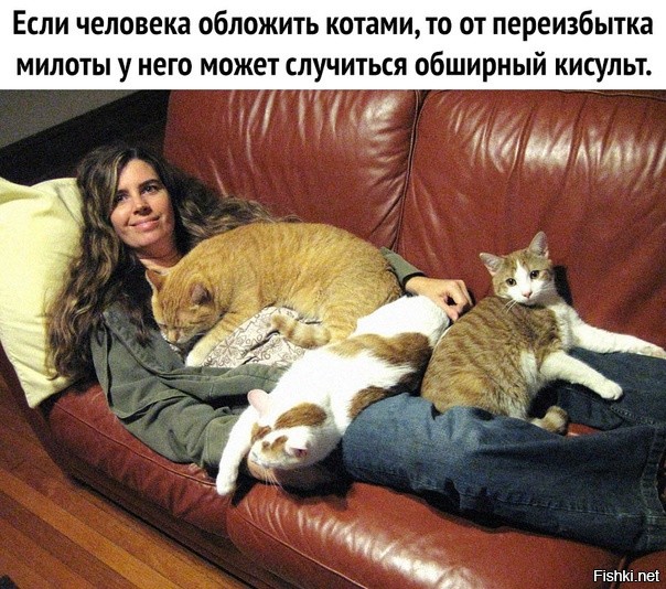 Солянка от 06.11.2022