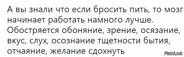 Солянка от 06.11.2022