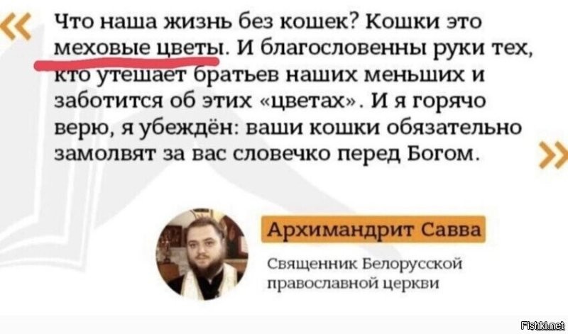 Солянка от 06.11.2022