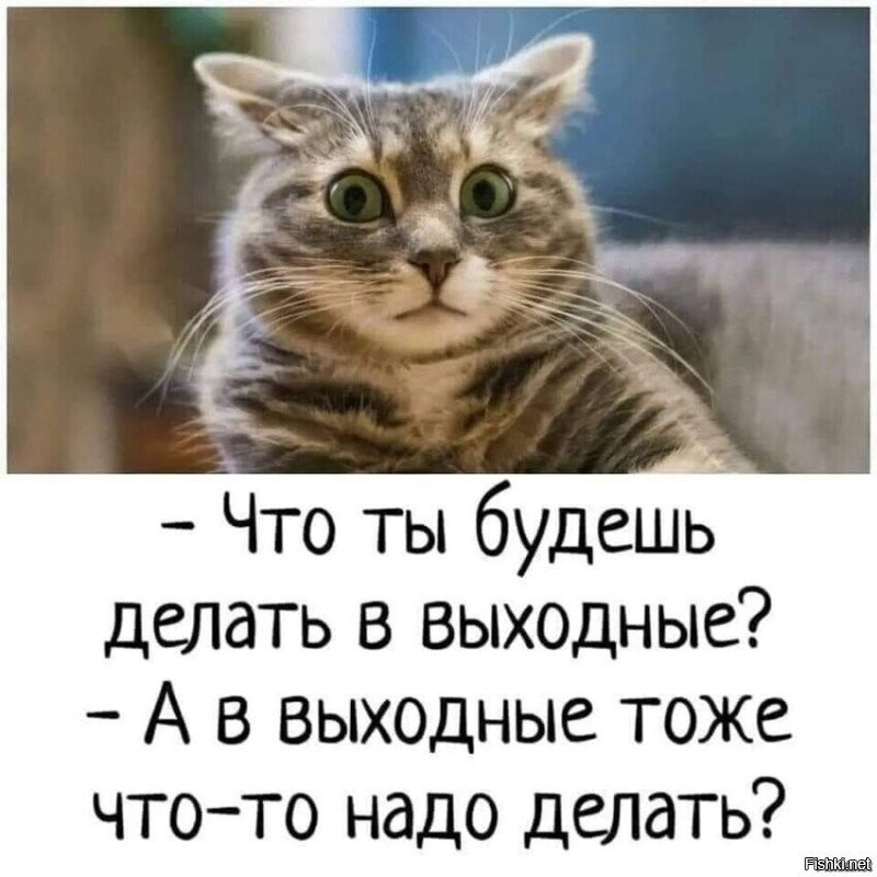 Солянка от 06.11.2022