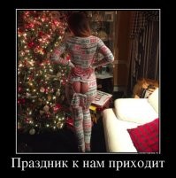 Скрины из соцсетей