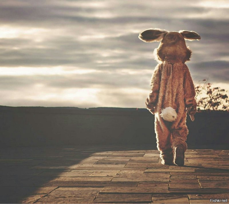 Солянка от 07.11.2022