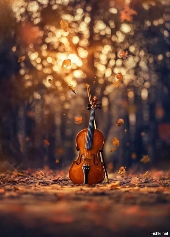 Спасибо, того же, так же, столько же)