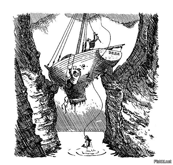 Солянка от 07.11.2022