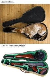 25 случайных совпадений, которые близки к совершенству