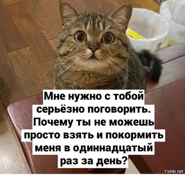 Солянка от 07.11.2022