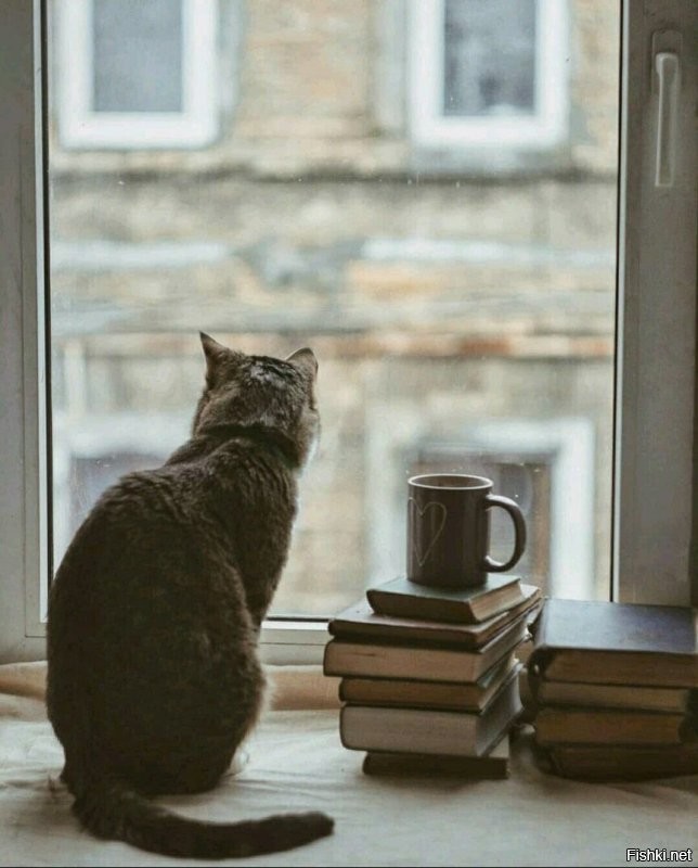 Солянка от 07.11.2022