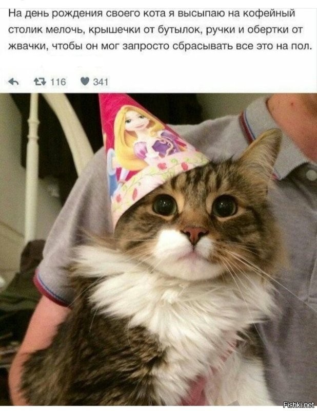 Солянка от 07.11.2022