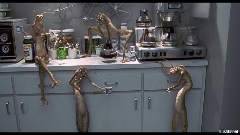 Хай, солянщики