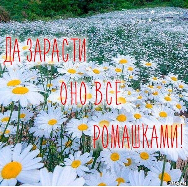 Солянка от 07.11.2022