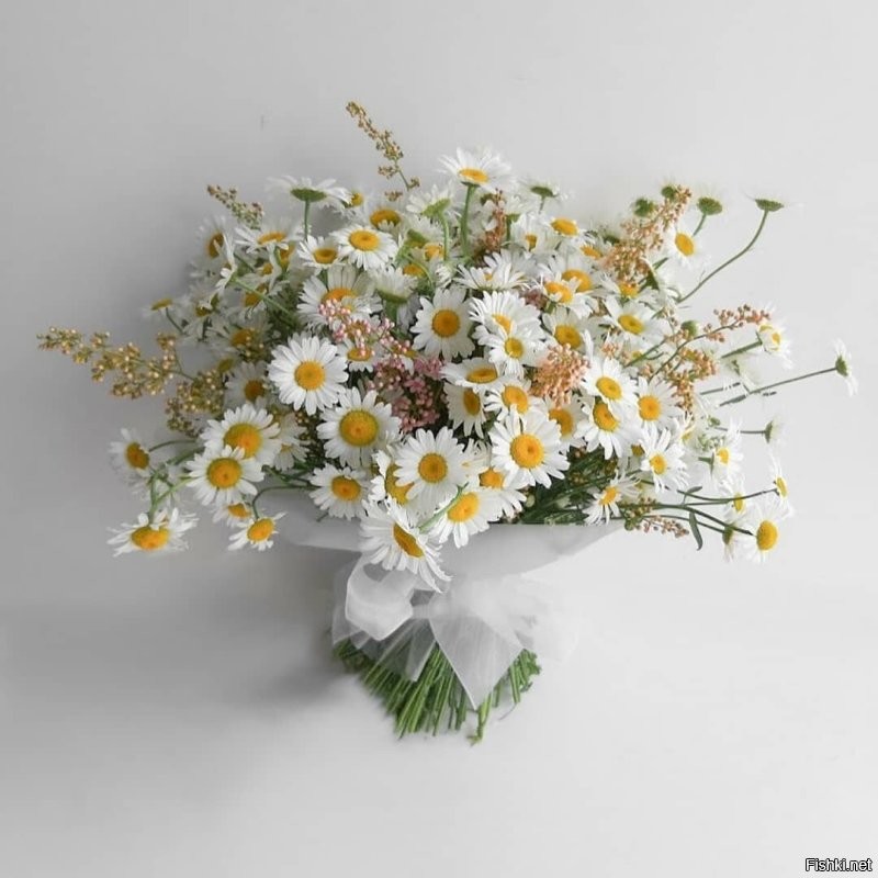 С добрым утром