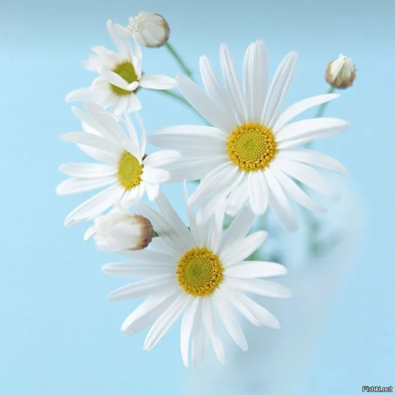 С добрым утром