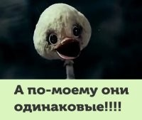 "В нетрезвом состоянии перебарщиваю": певица Слава принесла публичные извинения Ксении Собчак за пьяные оскорбления