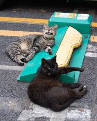 Ыыыыыыыыыыыы