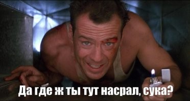 20+ любопытных изобретений для наших любимых животных