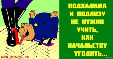 Постановочная клоунада царька и его верных прихлебателей лизоблюдов. Рыхлые лица, осунувшиеся плечи, пивные животы и дряхлые ручонки, кому они тут показывают рубку дров?  Приехал б ко мне на дачу, когда я для бани и на зиму заготавливаю поленицу, я бы посмотрел, через сколько минут они бы просто попадали от обычной физической работы с топором. На камеру выделываться каждый дурак может.
Показуха и клоунада. И ладно с засидевшимся феодалом, он уже головой тронулся в 2020 когда настолько испугался, что даже своим не доверял, и бегал по хоромам с автоматом, но просто противно смотреть на этих окружающих выкормышей-жополизов которые вокруг него собрались, вьются и всячески поддакивают и хвалят.. кажется, если он на землю насцыт, они настолько уже лишены чувства собственного достоинства, что на карачках, расталкивая друг дружку будут сёрбать и лакать из лужицы, нахваливая приятный букет и целебные свойства президентской урины.