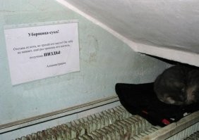 Администрация для начала пусть попробует лично оттереть углы, которые тот кот метит, а потом объявы вешает.