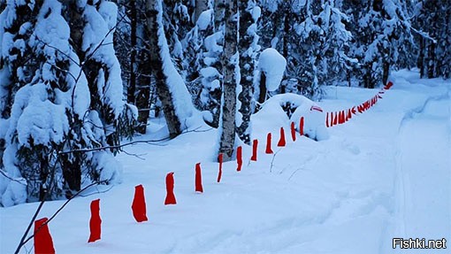 Солянка от 06.11.2022