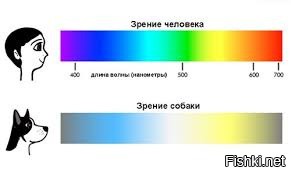 Солянка от 06.11.2022