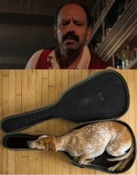 25 случайных совпадений, которые близки к совершенству