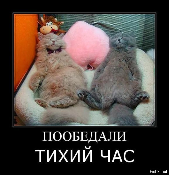 -обедаете небось