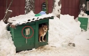 Я позвоню, если шо.