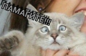Демотиваторы: зарядись хорошим настроением