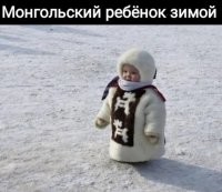 Монголы хотя бы оленей видели?