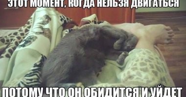 Йожика картинки. Выпуск 235