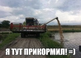 Йожика картинки. Выпуск 235