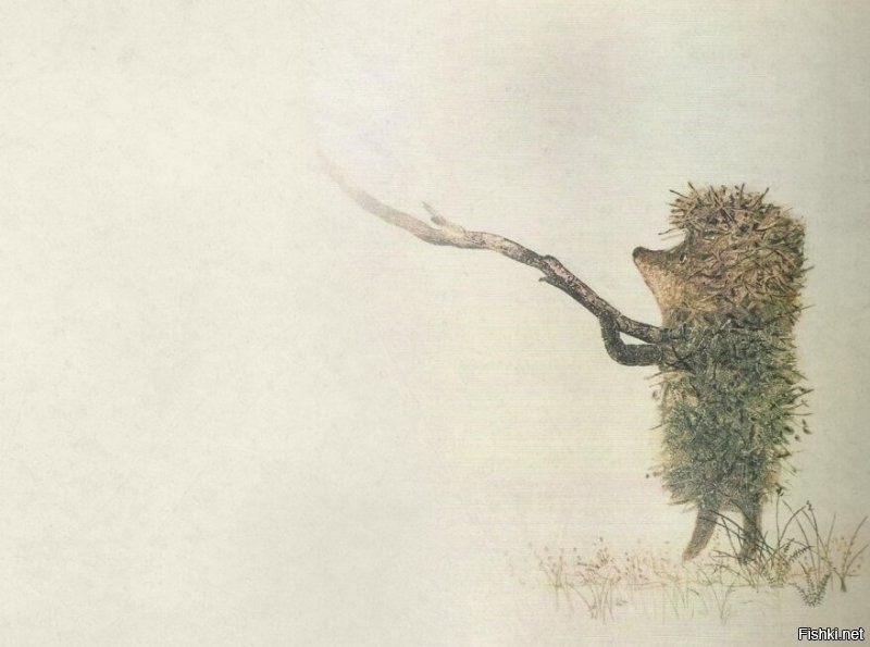 Деревья в тумане