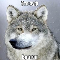 Не ищите здесь смысл. Здесь в основном маразм