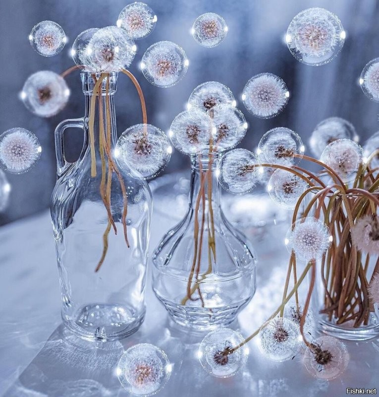 Солянка от 08.11.2022