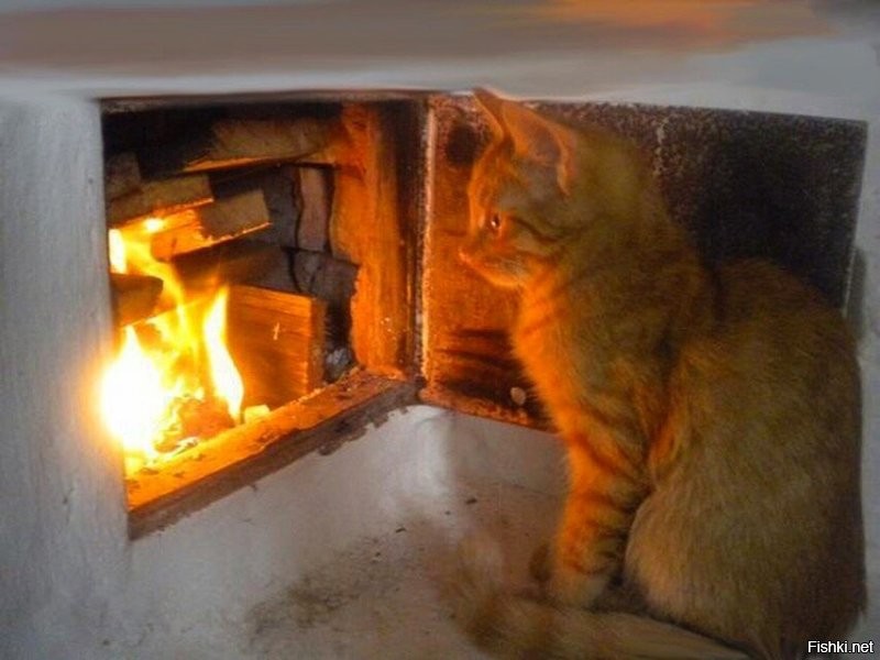 Солянка от 08.11.2022