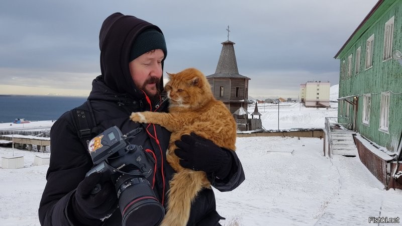 Солянка от 08.11.2022