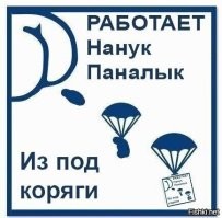 В костромском клубе «Полигон» спасал людей и трагически погиб доброволец, который недавно вернулся с СВО
