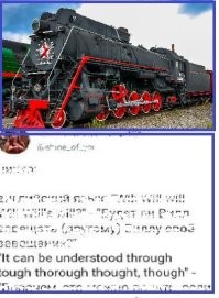 Без мемного кота не обойтись: учим английский язык