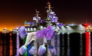 Фотоподборка