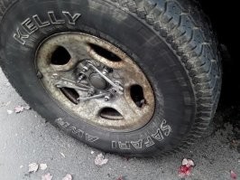 А здесь что не так? Ну открутилось колесо, балонника с собой не было - доехал до магазина. За это время диск "съел" резьбу шпилек, а они в ответ раздрочили диск. Купил пачку ключей, балонник, всё проложил и протянул. А фото с сервиса, где такого ещё не видели.
Всё ок.