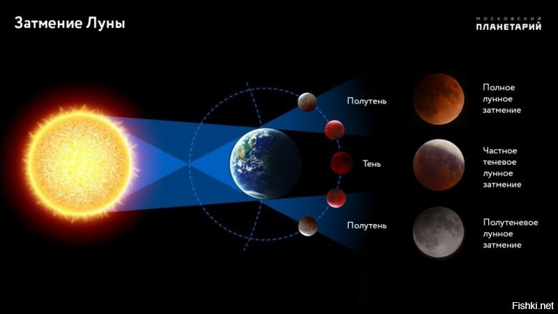 Затмение луны можно видеть ночью, а в 14 00 мск как бы день