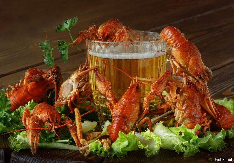 Это не наш стиль!!!