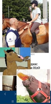 Не того проверяют...