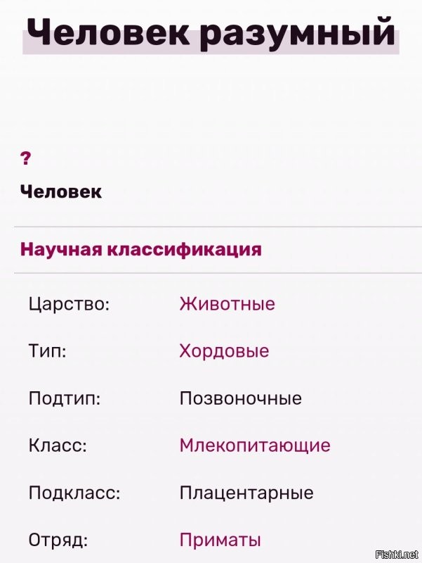 Хм... Вообще-то, мы, человеки, все хородовые, если что. 

А на видео, представитель медуз. Ибо мозга там нет, даже костного.