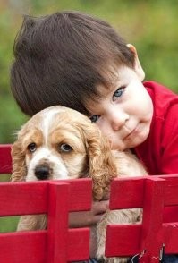 Йожика картинки. Выпуск 236