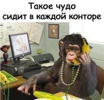 Йожика картинки. Выпуск 236