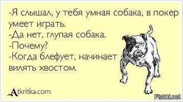 Йожика картинки. Выпуск 236