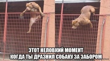 Йожика картинки. Выпуск 236