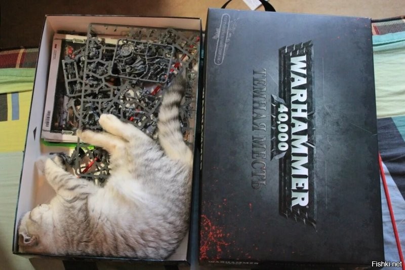 Порой неизвестно, кто в кого вселился