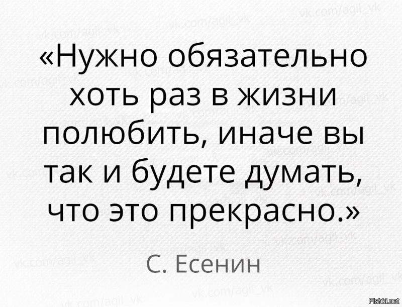 Солянка от 09.11.2022