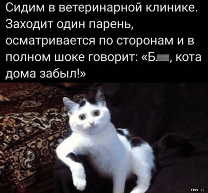 Солянка от 09.11.2022